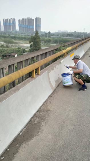 成都城南高速入城段护栏涂装