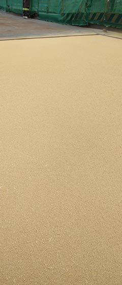 a8f37e3c5370be817772733572214f2