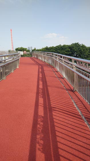 IMG_20220503_155226650