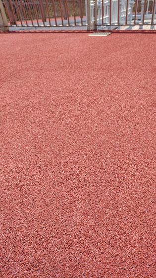 IMG_20220503_130522625