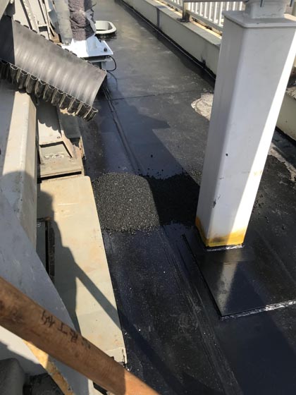 2021_01_19_11_05_IMG_5895